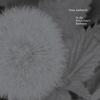 Oren Ambarchi: In The Pendulum's Embrace, 2 LPs