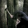 Baptists: Bushcraft, LP