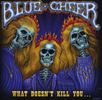 Blue Cheer: What Doesn't Kill You, CD