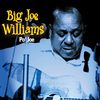 Big Joe Williams: Po' Jo, CD