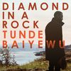 Tunde Baiyewu: Diamond In A Rock, CD