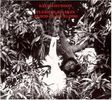 Keith Hudson: Flesh Of My Skin, LP