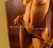 Erotic Lounge 5 - Secret Affairs, 2 CDs