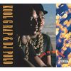 Kool G Rap; Dj Polo: Road To The Riches, LP