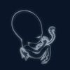 Sigur Ros: Agaetis Byrjun, CD