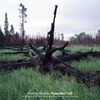 Pauline Oliveros: Primordial Lift (Limited Edition), 2 LPs