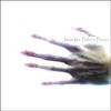 Janis Ian: Billies Bones, CD