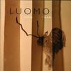 Luomo: Paper Tigers, CD