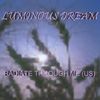 Luminous Dream: Radiate Through Me, CD