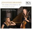 Johannes Brahms (1833-1897): Sonaten op.120 Nr.1 & 2 für Violine & Klavier, CD