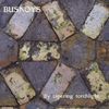 Antoine Busnoys: By Tapering Torchlight, CD