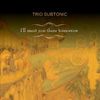 Trio Subtonic: I'll Meet You There Tomorrow, CD