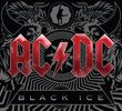 AC/DC: Black Ice (Standard Edition) (alternatives Cover), CD