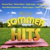 Various Artists: Meine Sommerhits, 2 CDs