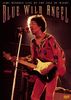Jimi Hendrix: Blue Wild Angel: Jimi Hendrix Live At The Isle Of Wight, DVD