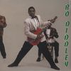 Bo Diddley  (1928-2008): Bo Diddley, LP
