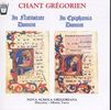Chant Gregorien - In Navitatem Domini, CD
