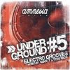 Various Artists: Amnesia Ibiza Underground Vol. 5, 2 CDs