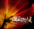 Guillaume de Machault (1300-1377): Le Remede de Fortune, 2 CDs