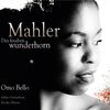 Gustav Mahler (1860-1911): Des Knaben Wunderhorn (Klavierfassung), CD