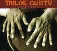 Trilok Gurtu: African Fantasy, CD