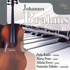 Johannes Brahms (1833-1897): Klarinettentrio op.114, CD