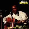 Big Joe Williams: Blues Classics, CD