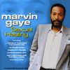 Marvin Gaye: Sexual Healing, CD