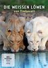 Die weißen Löwen von Tinmbavati, DVD