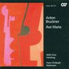 Anton Bruckner (1824-1896): Ave Maria (16 lateinische Motetten), CD