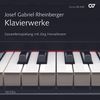 Joseph Rheinberger (1839-1901): Das Klavierwerk, 10 CDs