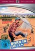 Born In East L. A., DVD