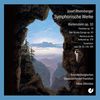 Joseph Rheinberger (1839-1901): Symphonische Werke, 2 CDs