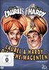 Laurel & Hardy: Die Geheimagenten, DVD