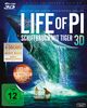 Life Of Pi (2D + 3D Blu-ray + DVD + Digital Copy), Blu-ray Disc