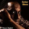 Wayne Bartlett: Senor Blues, CD
