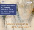 Johann Sebastian Bach (1685-1750): Kantaten BWV 27,47,96,138, SACD
