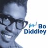 Bo Diddley  (1928-2008): Hey...!, CD