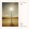 Ull Möck: How High The Moon, CD