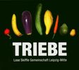 Lose Skiffle Gemeinsch.: Triebe: Live aus dem Hoftheater..., CD