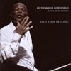 Little Willie Littlefield: Old Time Feeling, CD