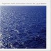 Kagermann, Keller, Schönwälder & Friends: The Liquid Session, CD