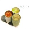 Fanger & Schönwälder: Analog Overdose 4 (CD + DVD), CD