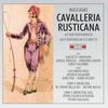 Pietro Mascagni (1863-1945): Cavalleria Rusticana, 2 CDs