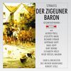 Johann Strauss II (1825-1899): Der Zigeunerbaron, 2 CDs