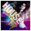 Various Artists: House Charts Megamix Vol. 1, 2 CDs