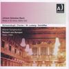Johann Sebastian Bach (1685-1750): Messe h-moll BWV 232, 2 CDs