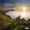 Johannes Brahms (1833-1897): Symphonie Nr.1 (180g), LP