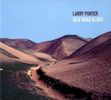 Larry Porter: Silk Road Blues, CD