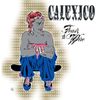 Calexico: Feast Of Wire (180g), LP